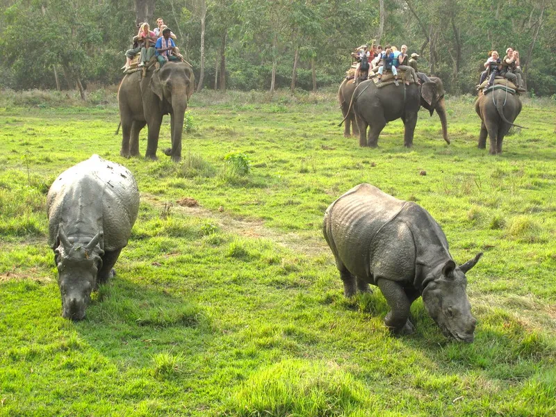 Chitwan Jungle Safari Tour: 2 Nights / 3 Days
